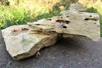Felsen Nr.1 / Für Spur H0, TT, N Ausverkauft